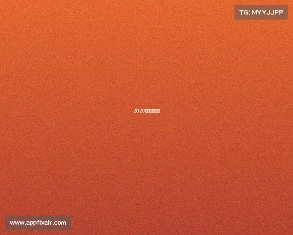 2020厦马参赛人数